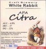 Кривий Ріг "White Rabbit"craft brewery APA Citra UA-04-KRR-11-APA-P-xx-04-002