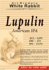 Кривий Ріг "White Rabbit"craft brewery Lupulin (American IPA) UA-04-KRR-11-LUP-P-xx-06-006