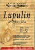 Кривий Ріг "White Rabbit"craft brewery Lupulin (American IPA) UA-04-KRR-11-LUP-P-xx-06-008